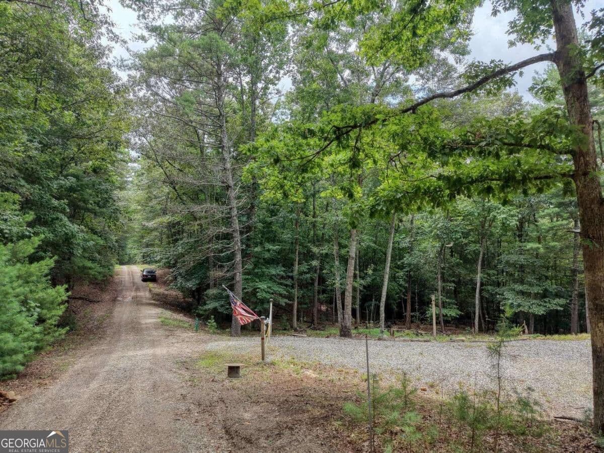 residential lot for sale at 155 Atkins Trail, Blairsville, GA 30512 — photo 6