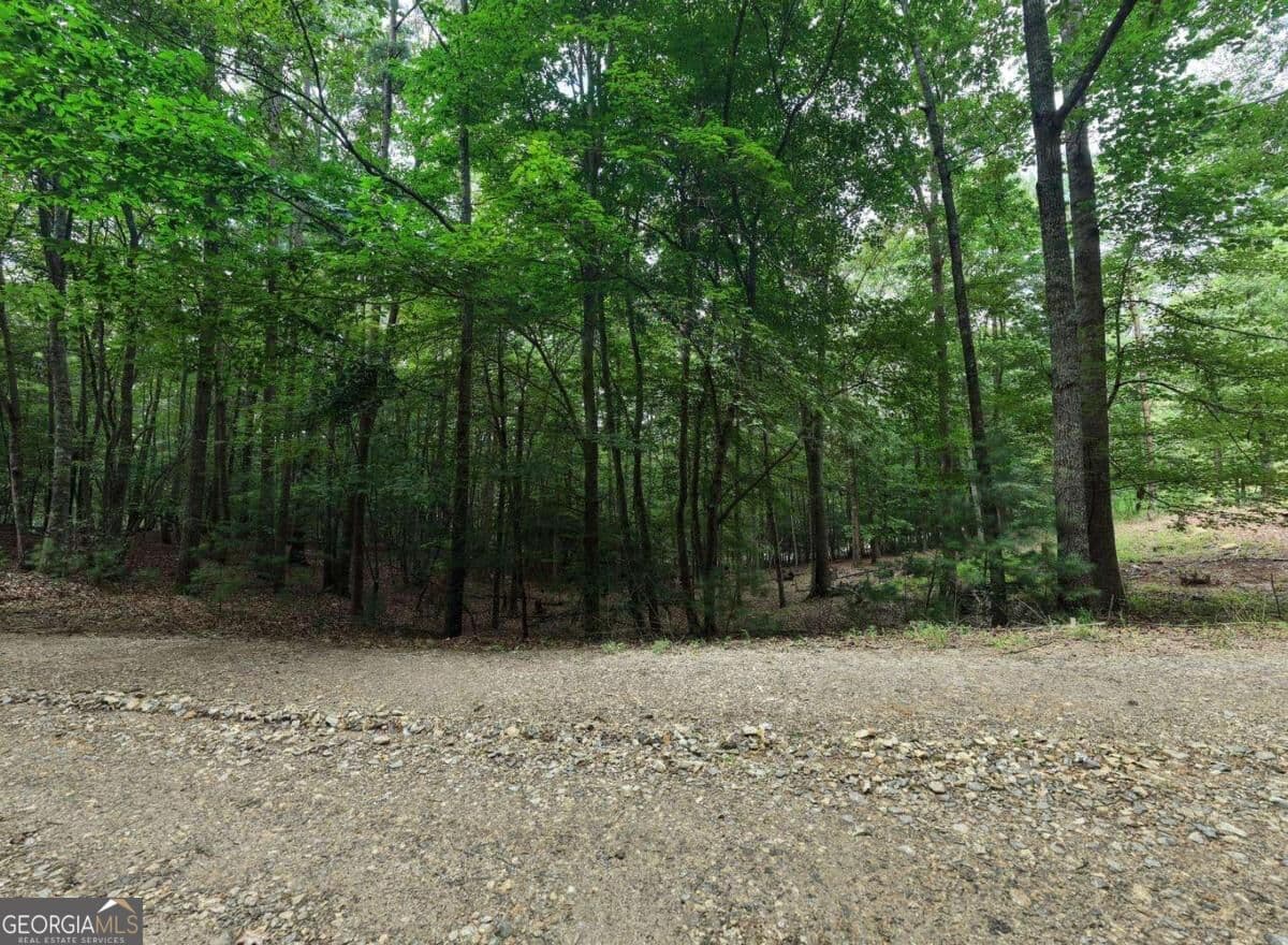 residential lot for sale at 155 Atkins Trail, Blairsville, GA 30512 — photo 3