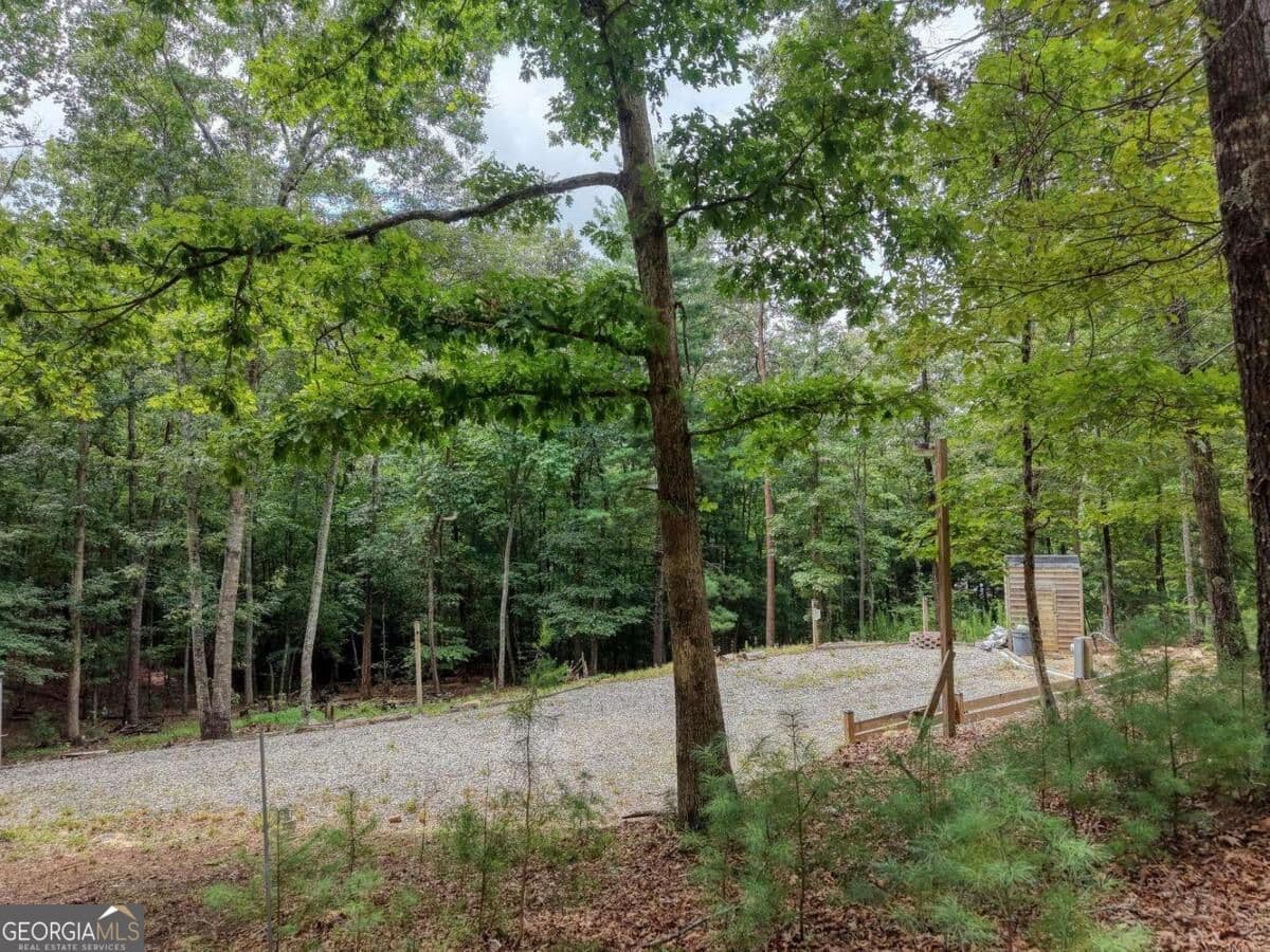 residential lot for sale at 155 Atkins Trail, Blairsville, GA 30512 — photo 5