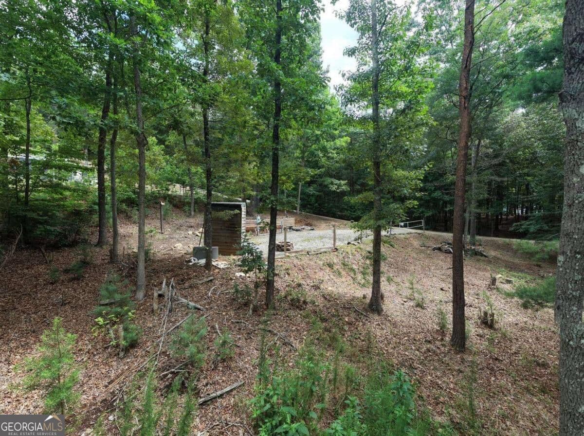 residential lot for sale at 155 Atkins Trail, Blairsville, GA 30512 — photo 9