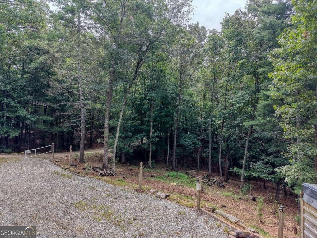 residential lot for sale at 155 Atkins Trail, Blairsville, GA 30512 — photo 8