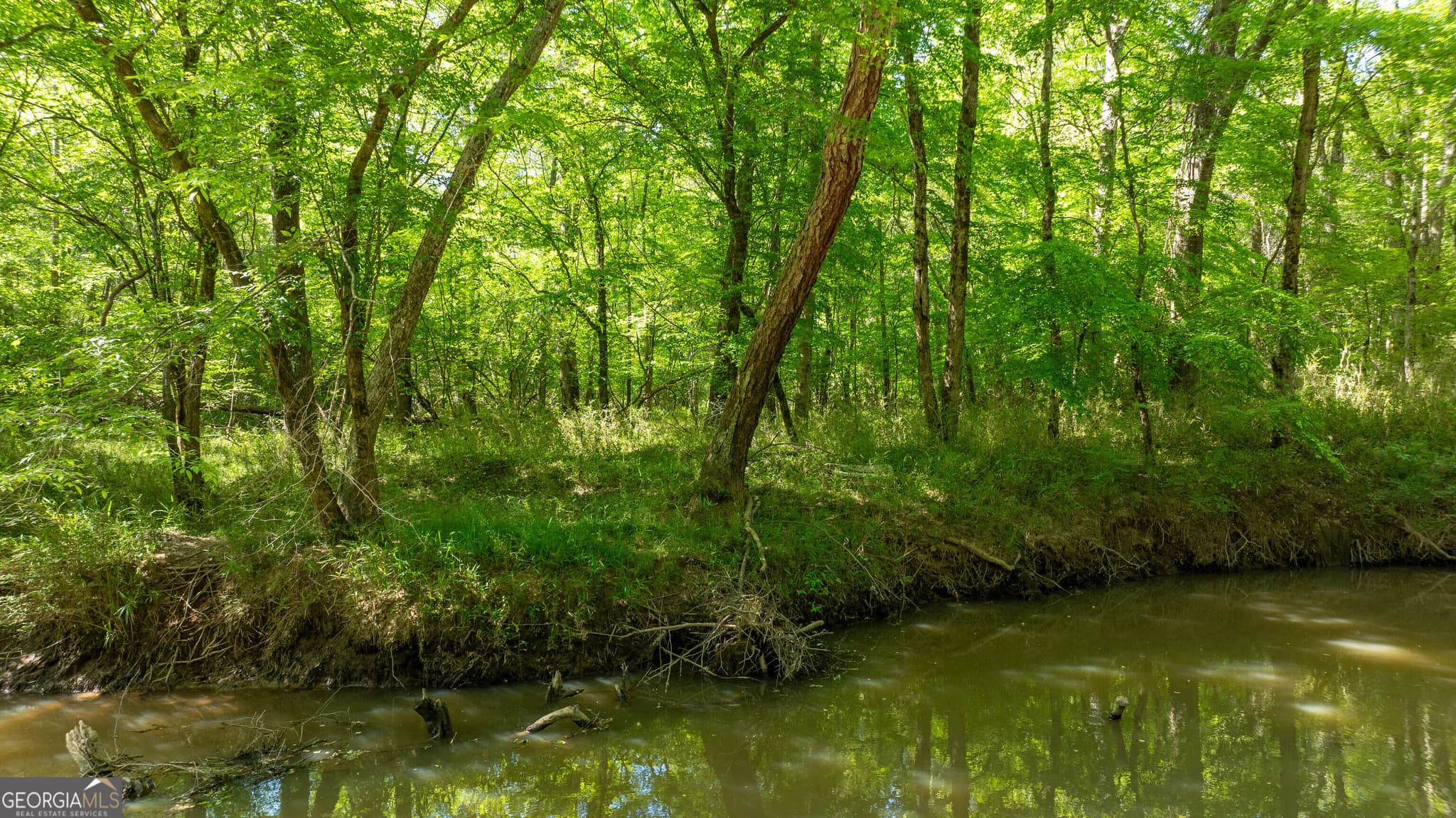agriculture for sale at 0 Highway 54 & Bear Creek Road 120.92+/- ACRES, Moreland, GA 30259 — photo 2