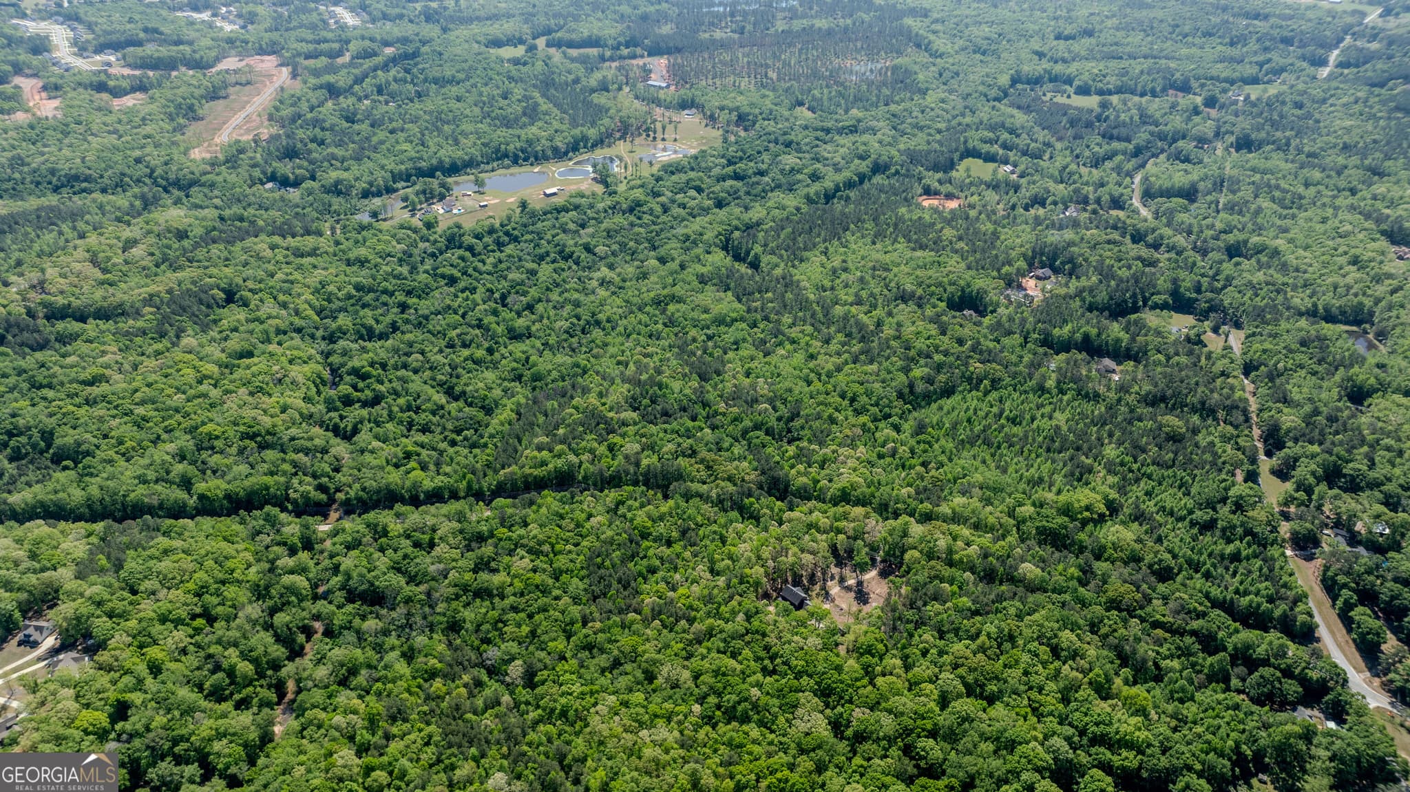 agriculture for sale at 0 Highway 54 & Bear Creek Road 120.92+/- ACRES, Moreland, GA 30259 — photo 6