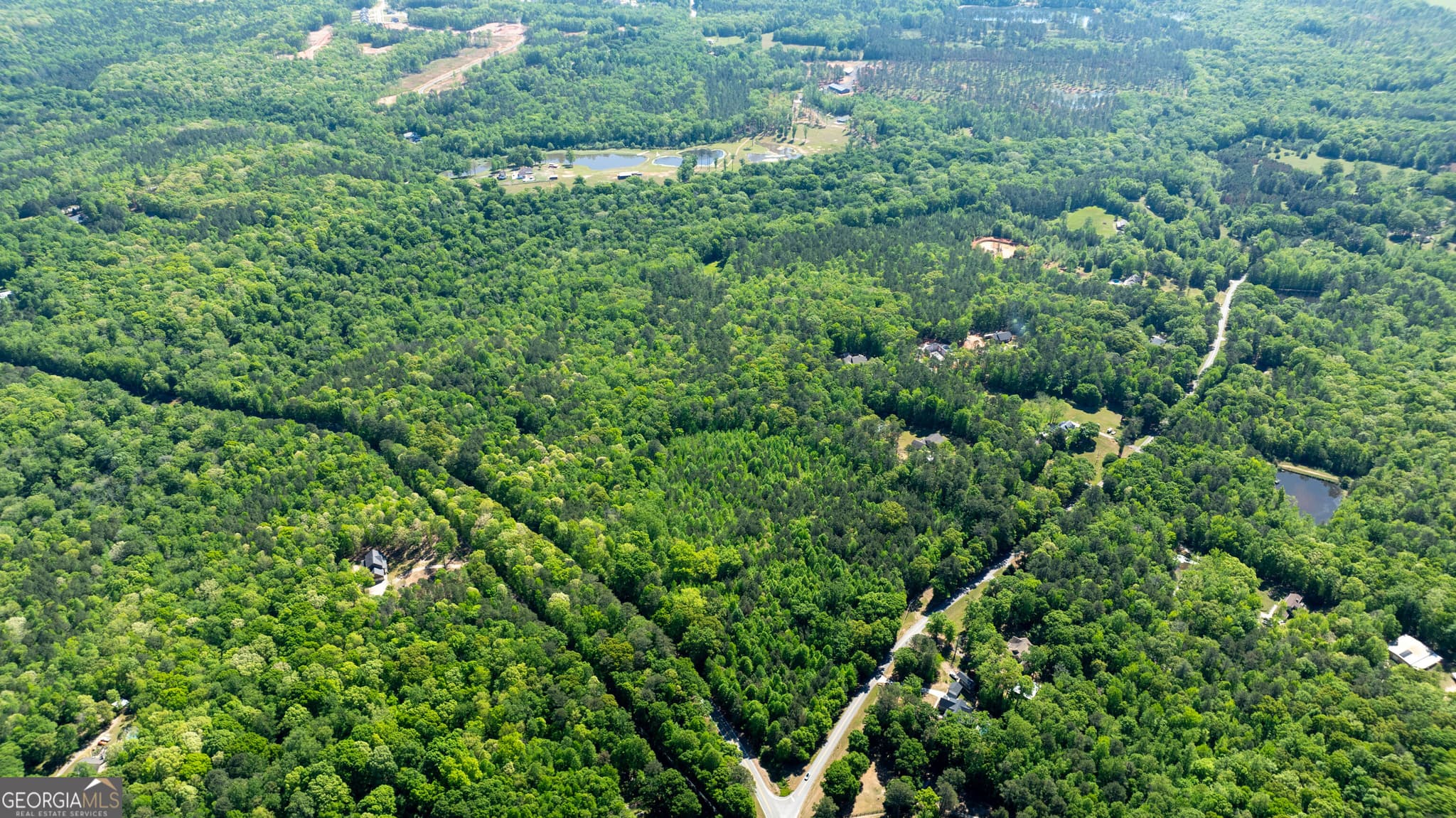 agriculture for sale at 0 Highway 54 & Bear Creek Road 120.92+/- ACRES, Moreland, GA 30259 — photo 7
