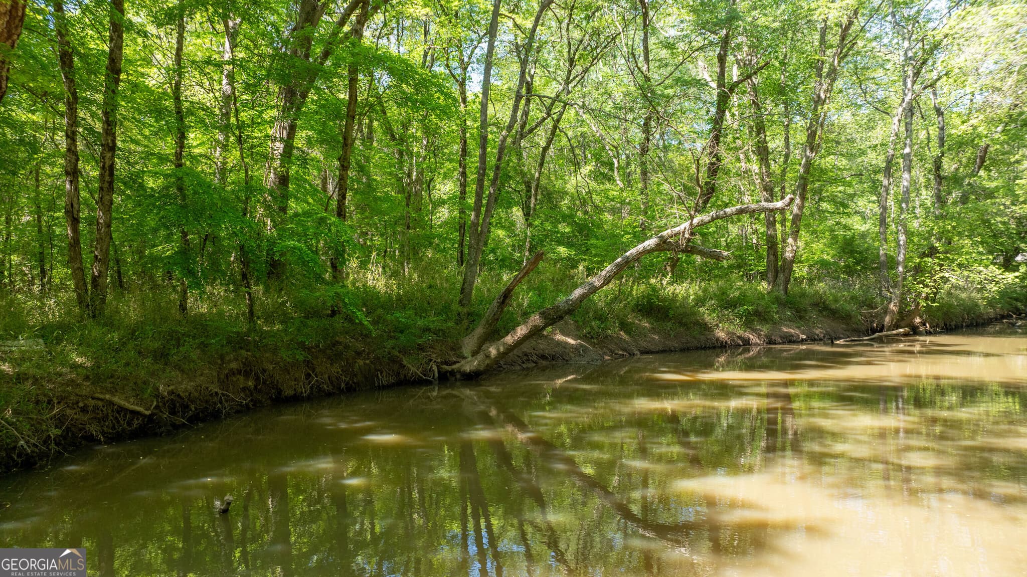 agriculture for sale at 0 Highway 54 & Bear Creek Road 120.92+/- ACRES, Moreland, GA 30259 — photo 3