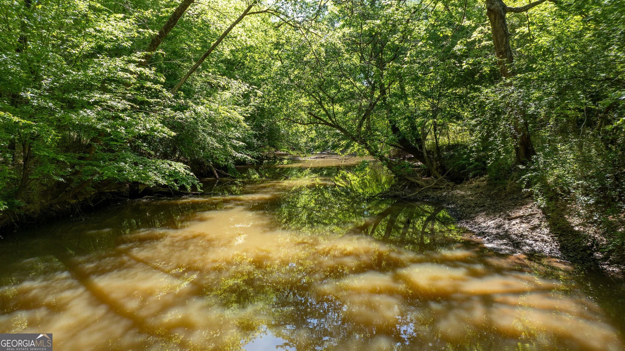 agriculture for sale at 0 Highway 54 & Bear Creek Road 120.92+/- ACRES, Moreland, GA 30259 — photo 5