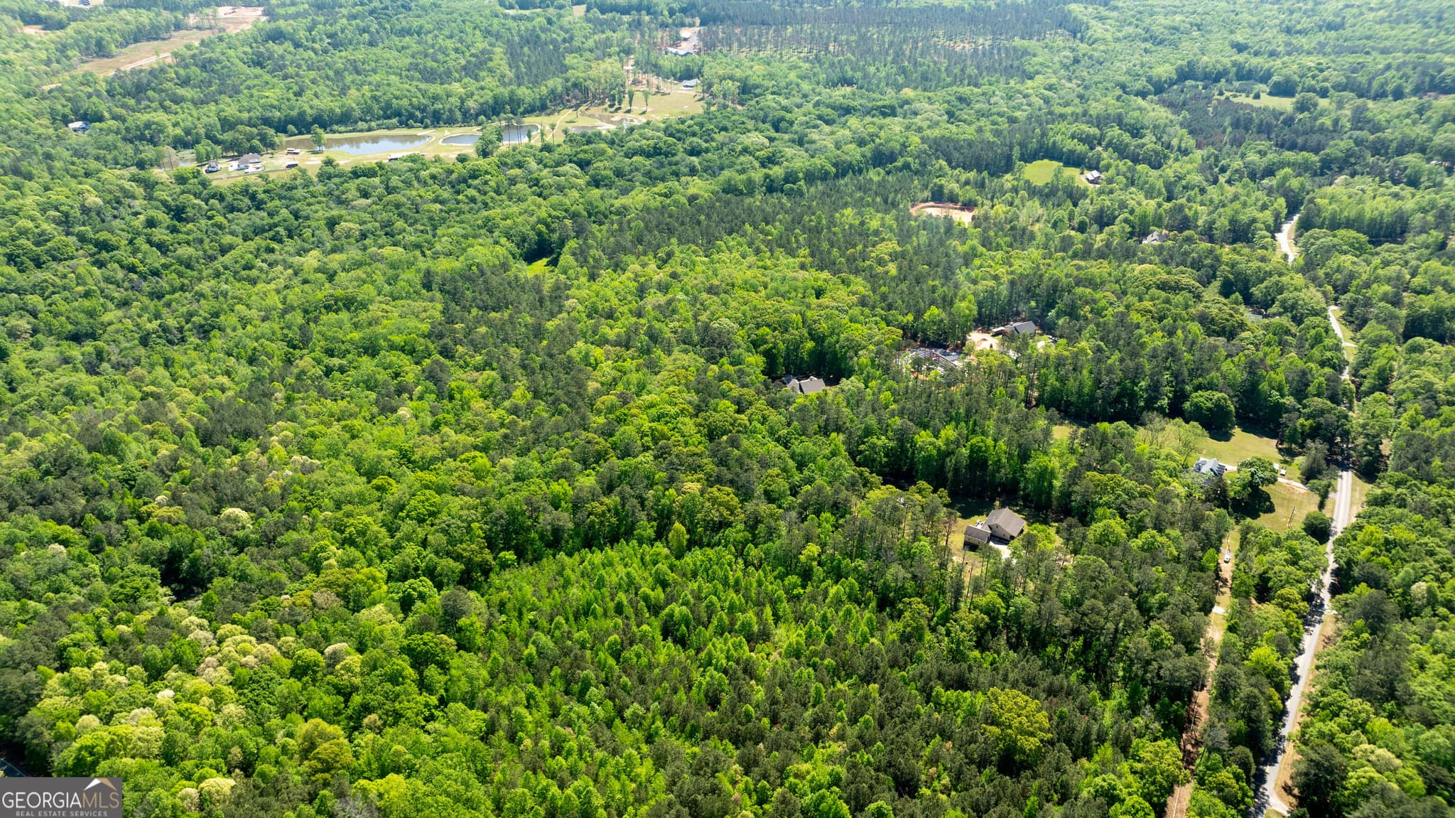 agriculture for sale at 0 Highway 54 & Bear Creek Road 120.92+/- ACRES, Moreland, GA 30259 — photo 10