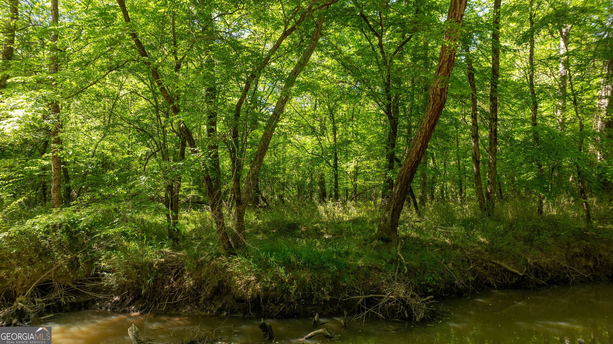 agriculture for sale at 0 Highway 54 & Bear Creek Road 120.92+/- ACRES, Moreland, GA 30259 — photo 4