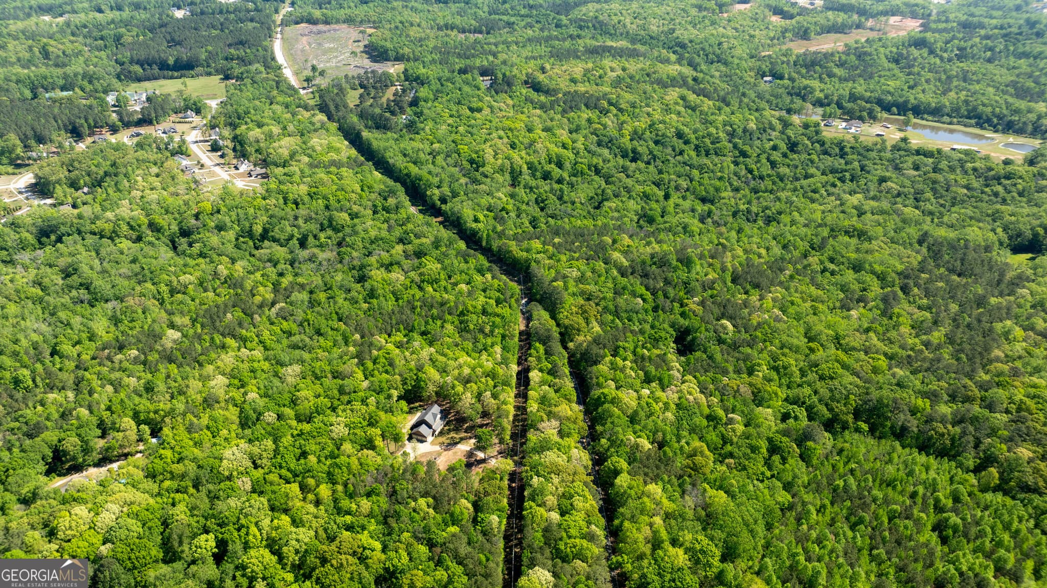 agriculture for sale at 0 Highway 54 & Bear Creek Road 120.92+/- ACRES, Moreland, GA 30259 — photo 8