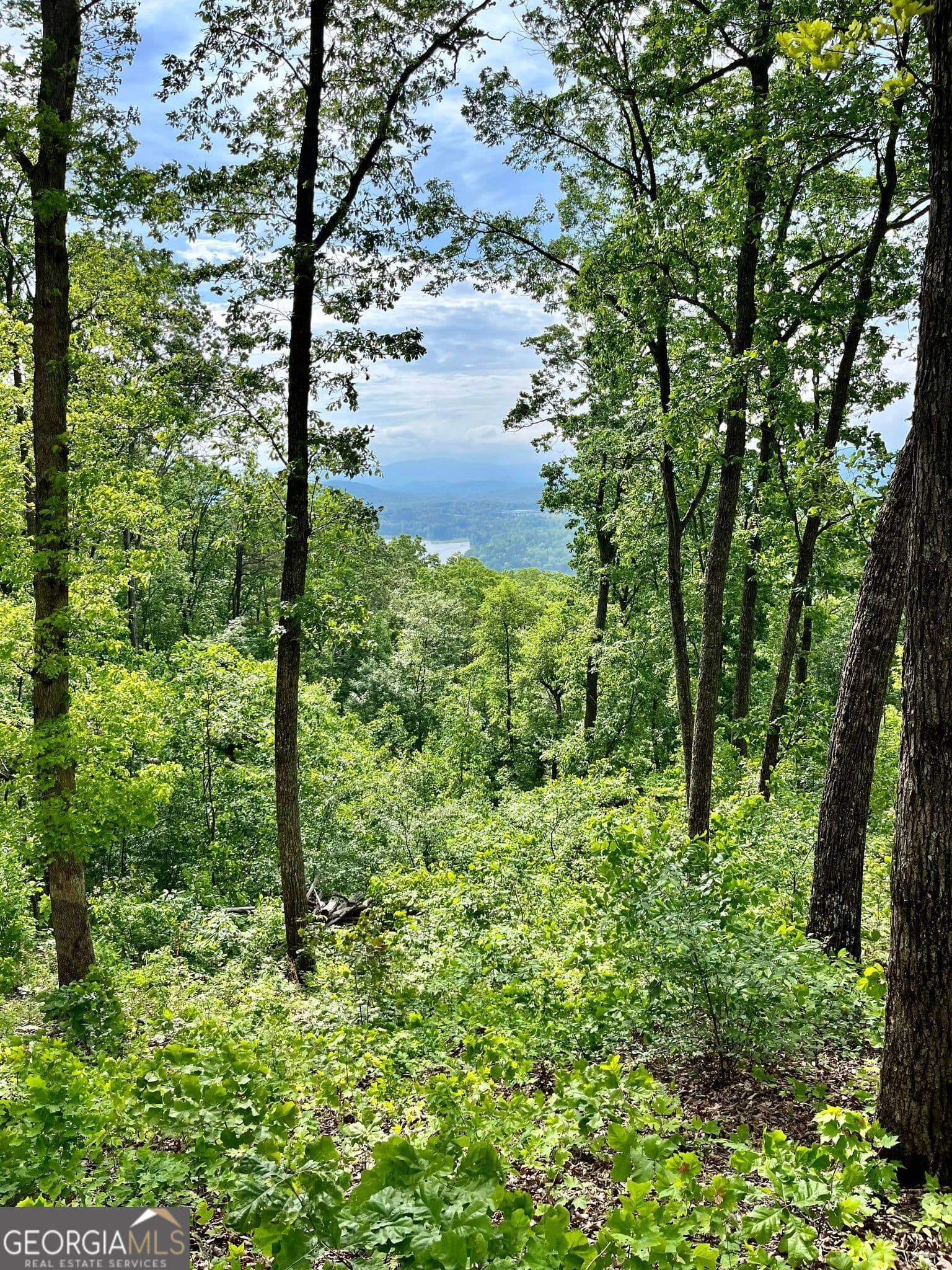 residential lot for sale at LOT 103 Highland Park, Blairsville, GA 30512 — photo 2