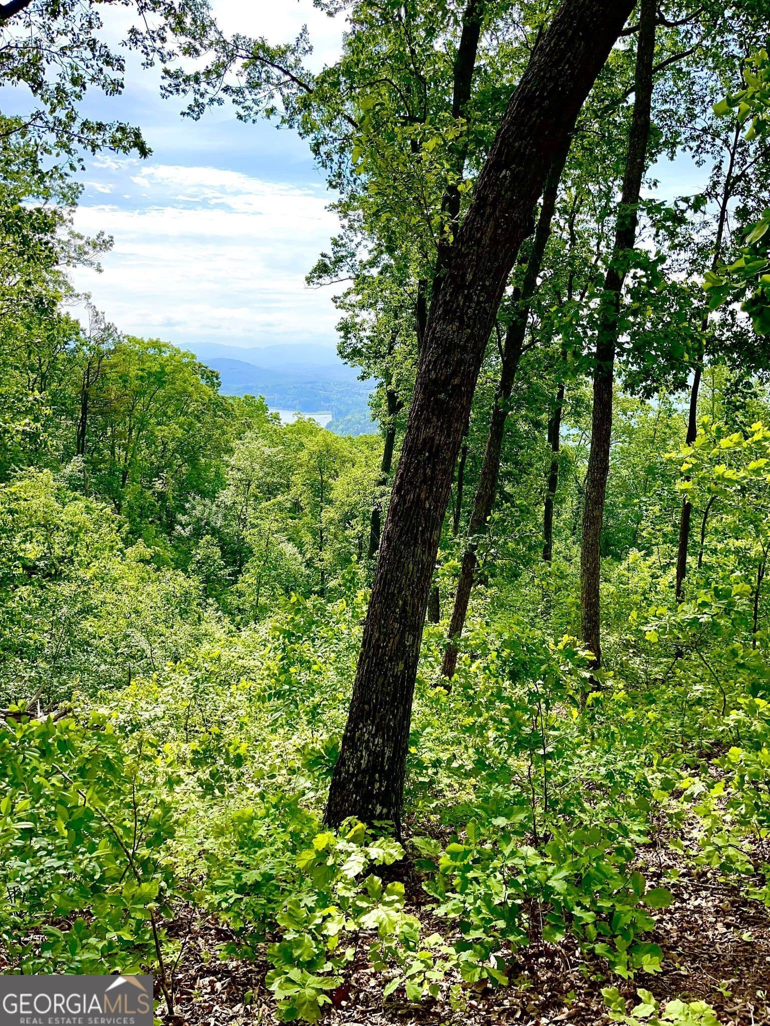 residential lot for sale at LOT 103 Highland Park, Blairsville, GA 30512 — photo 3