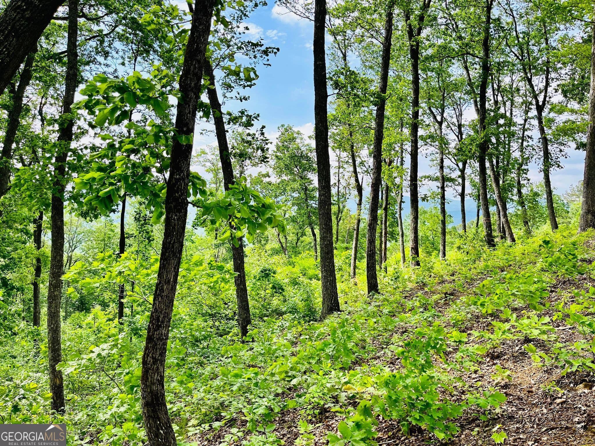 residential lot for sale at LOT 103 Highland Park, Blairsville, GA 30512 — photo 9