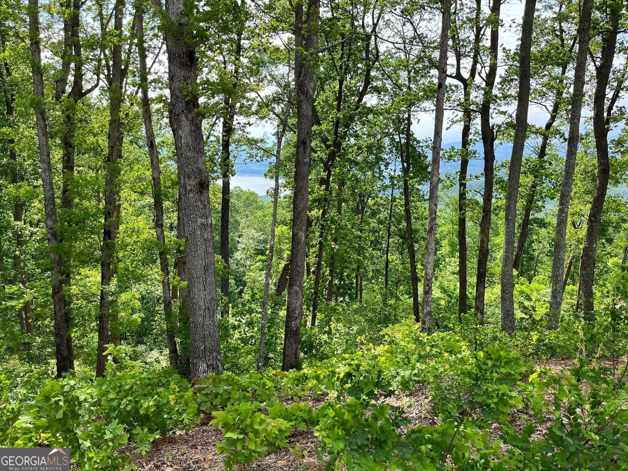 residential lot for sale at LOT 103 Highland Park, Blairsville, GA 30512 — photo 10