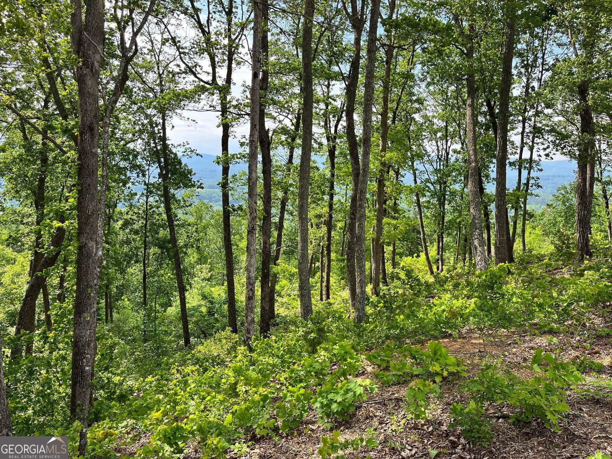 residential lot for sale at LOT 103 Highland Park, Blairsville, GA 30512 — photo 4