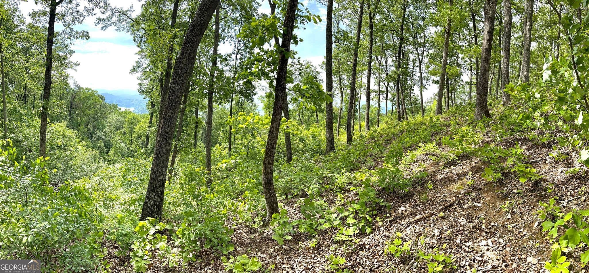 residential lot for sale at LOT 103 Highland Park, Blairsville, GA 30512 — photo 8