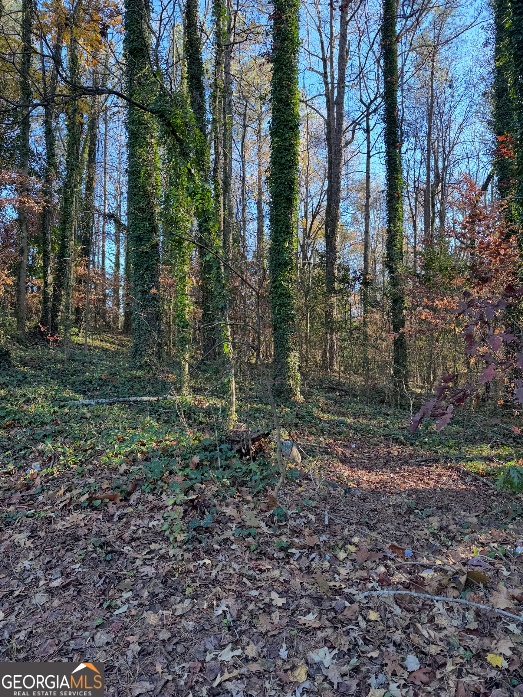 unimproved land for sale at 0 Headland Drive, East Point, GA 30344 — photo 3