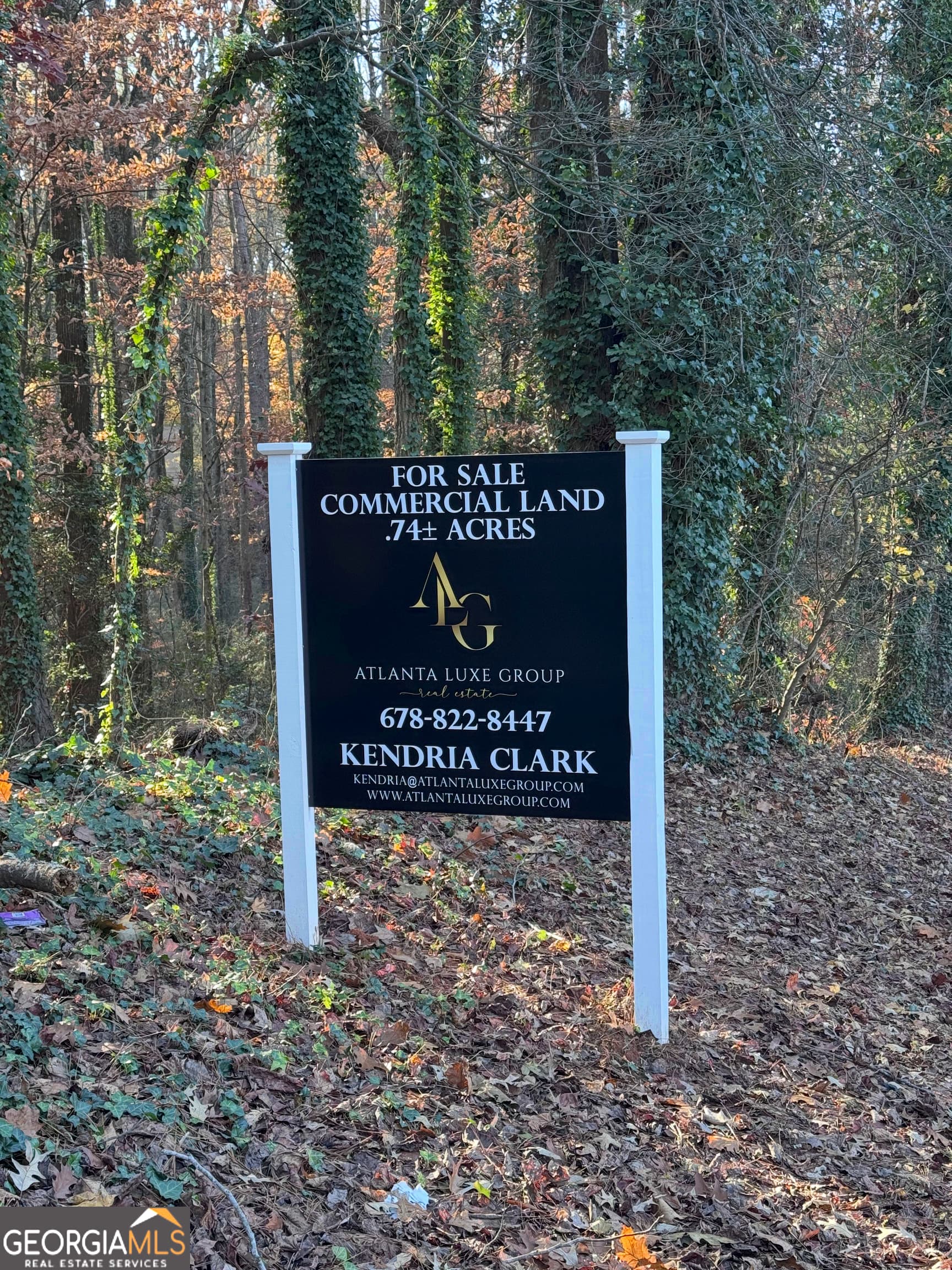 unimproved land for sale at 0 Headland Drive, East Point, GA 30344 — photo 4
