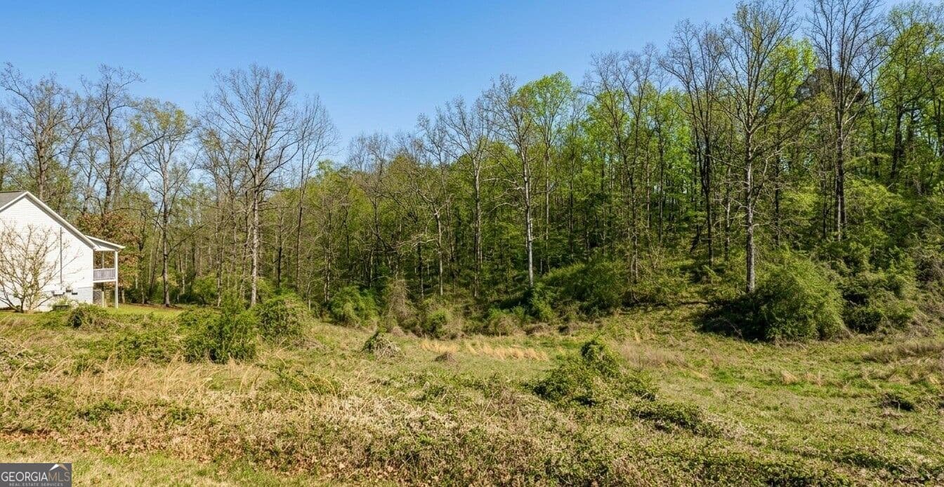 residential lot for sale at 0 Ember Lane, Ohatchee, AL 36271 — photo 2