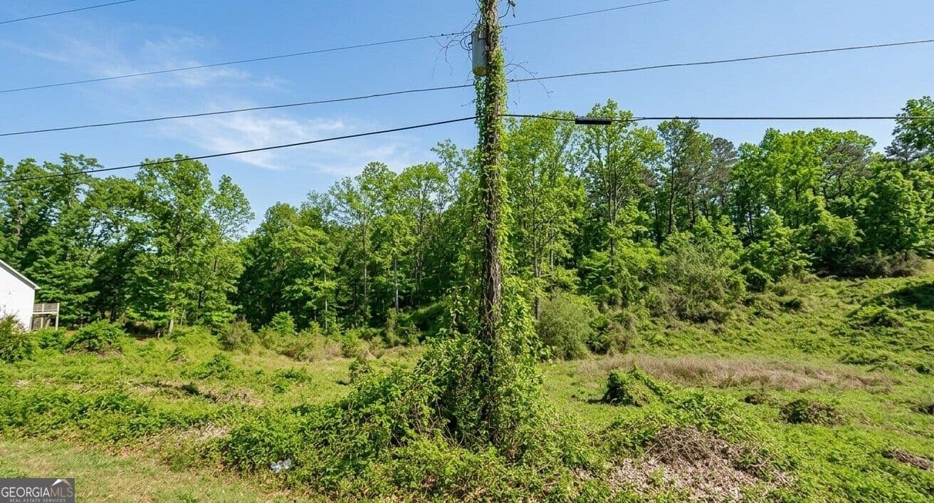 residential lot for sale at 0 Ember Lane, Ohatchee, AL 36271 — photo 6