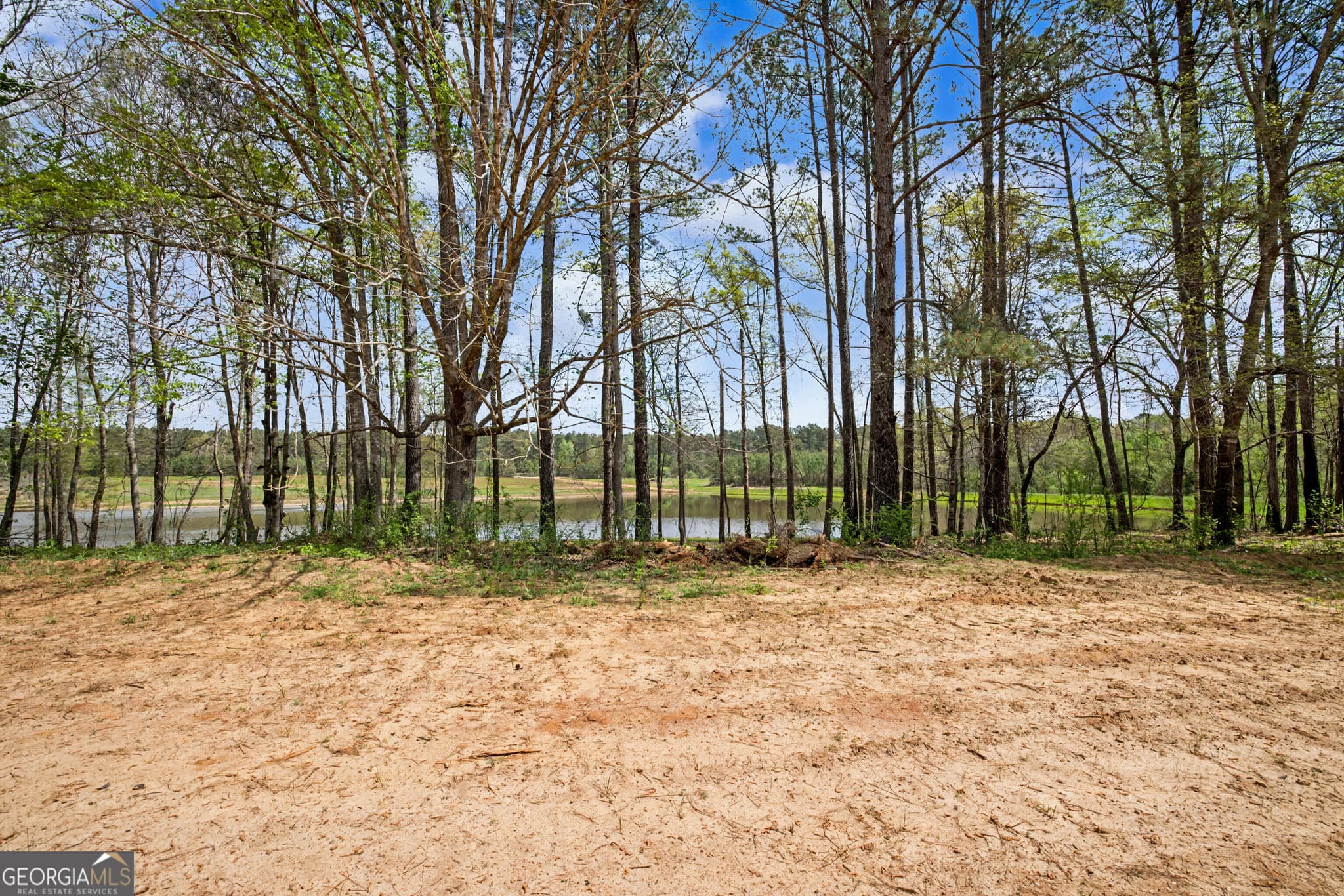 agriculture for sale at 1405 Jones Mill Road, Woodbury, GA 30293 — photo 6