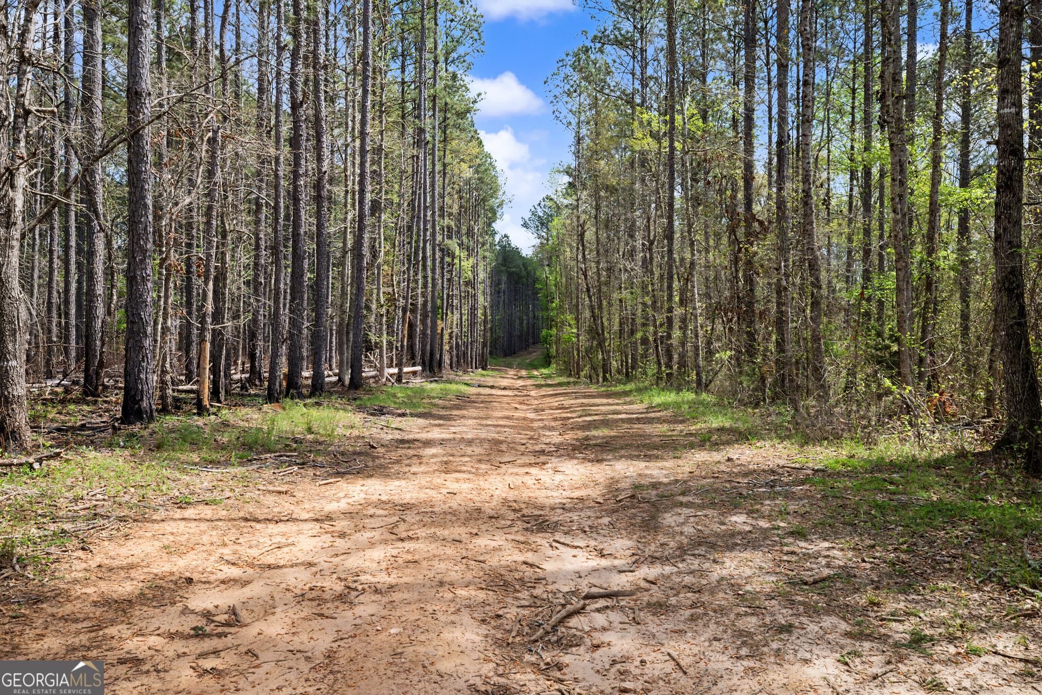 agriculture for sale at 1405 Jones Mill Road, Woodbury, GA 30293 — photo 7