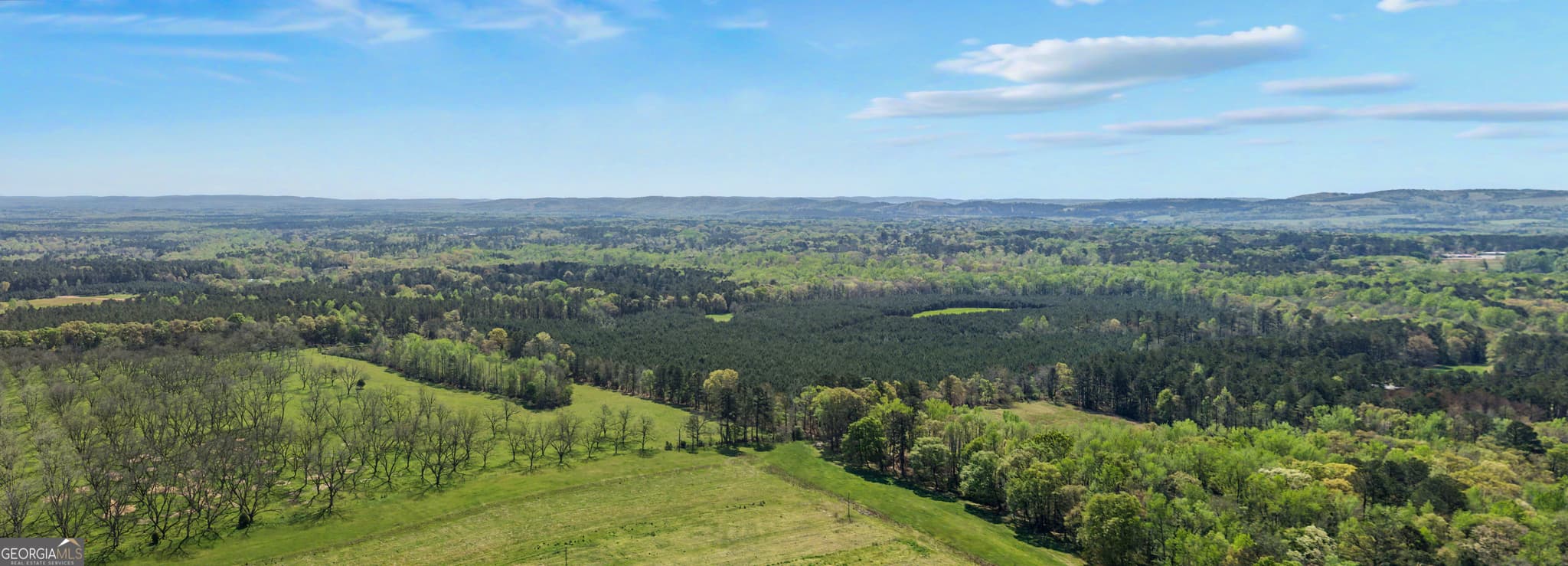 agriculture for sale at 1405 Jones Mill Road, Woodbury, GA 30293 — photo 5