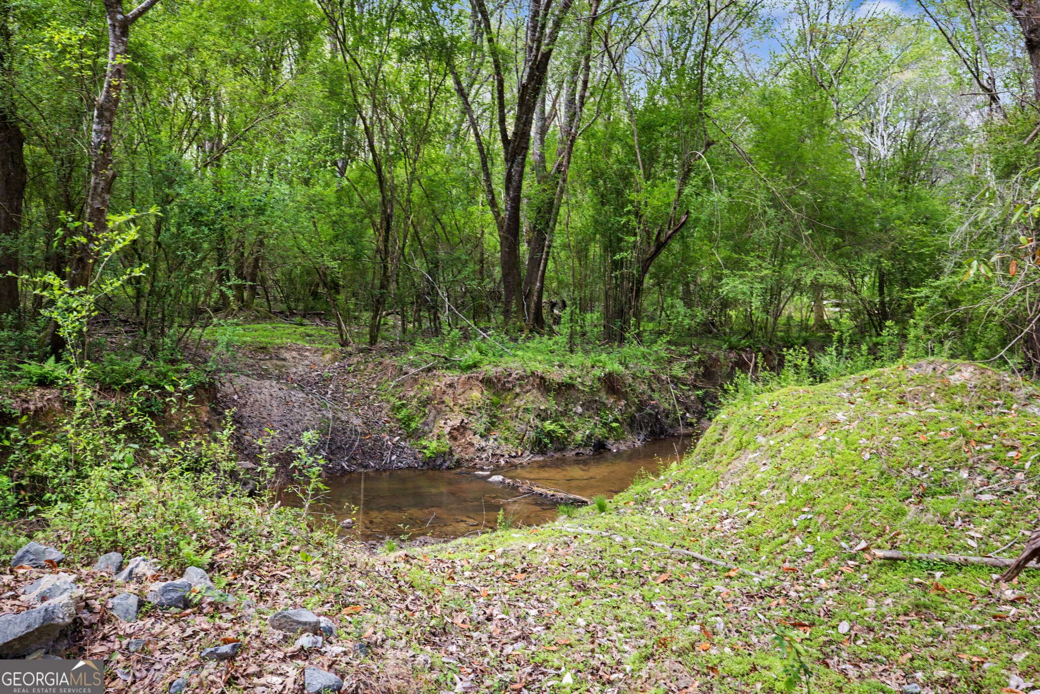 agriculture for sale at 1405 Jones Mill Road, Woodbury, GA 30293 — photo 9