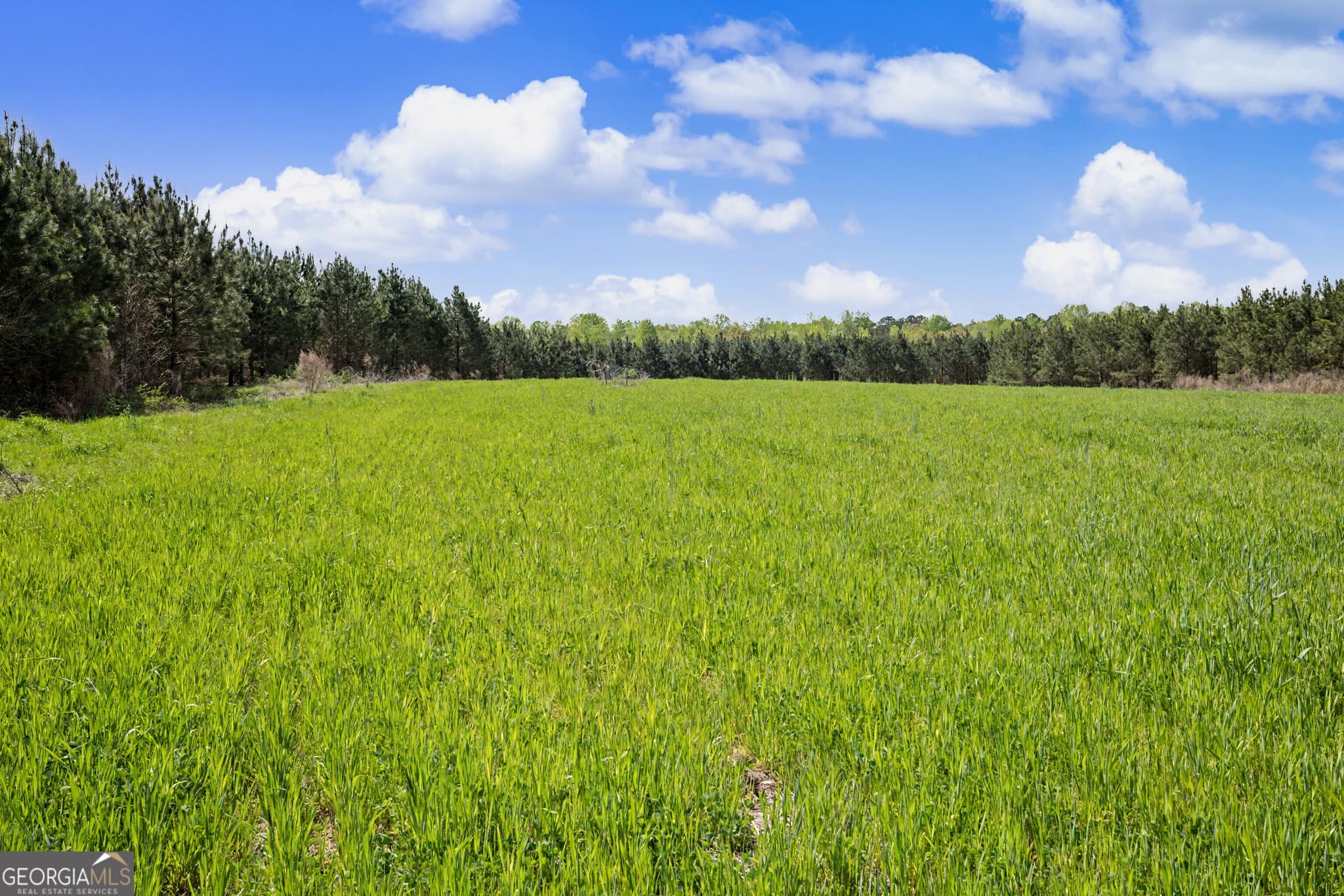 agriculture for sale at 1405 Jones Mill Road, Woodbury, GA 30293 — photo 10