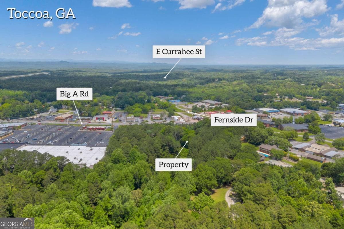 commercial for sale at 1600 Big A Road, Toccoa, GA 30577 — photo 3