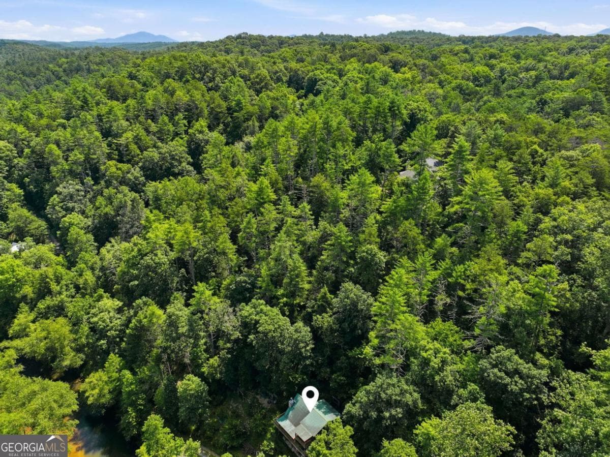 3 bedroom, 3 bathroom, 1,922 sq ft cabin,single family residence for sale at 349 Whitewater Trail, Dahlonega, GA 30533 — photo 4