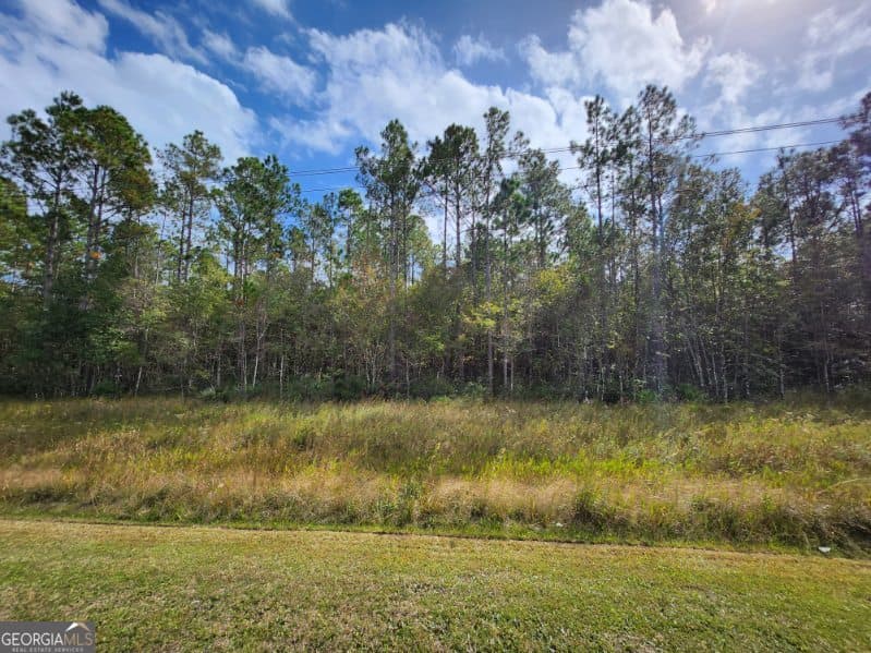 unimproved land for sale at V/L 8 Kings Bay Road, St. Marys, GA 31558 — photo 6