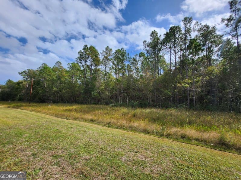 unimproved land for sale at V/L 8 Kings Bay Road, St. Marys, GA 31558 — photo 5