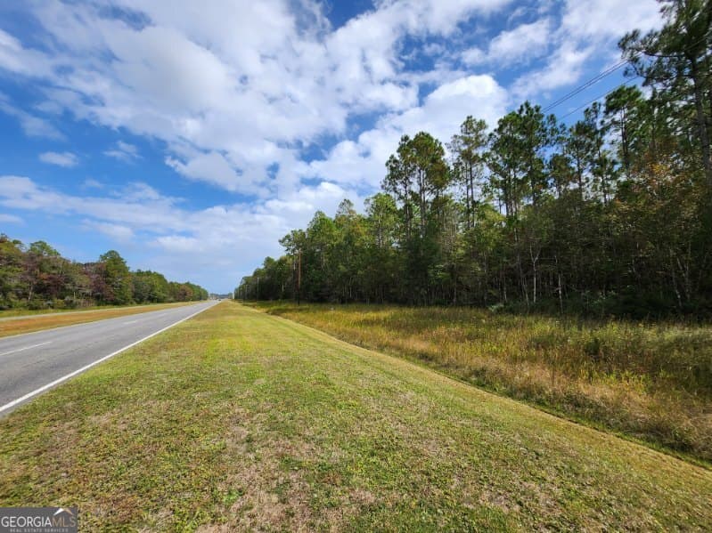 unimproved land for sale at V/L 8 Kings Bay Road, St. Marys, GA 31558 — photo 4