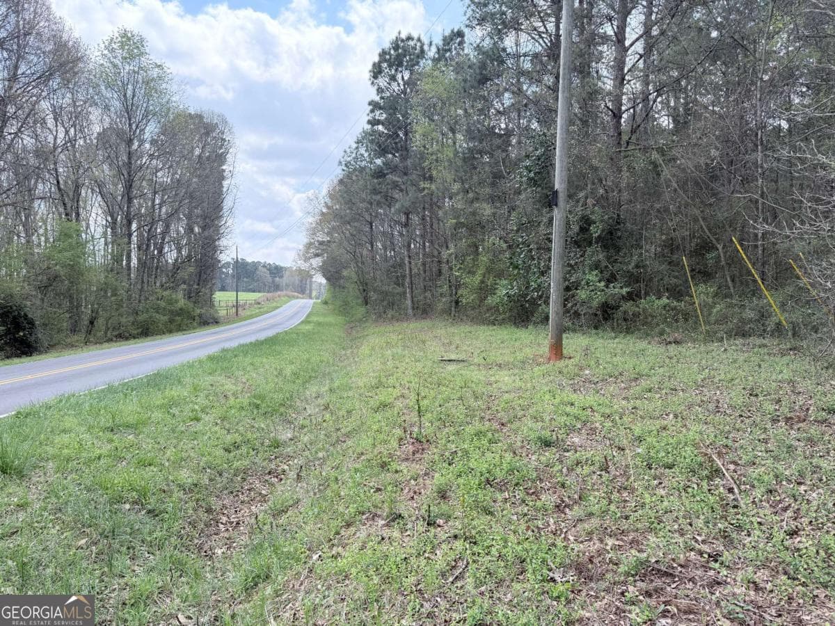 agriculture for sale at 0 Old Columbus Road, Bowdon, GA 30108 — photo 2