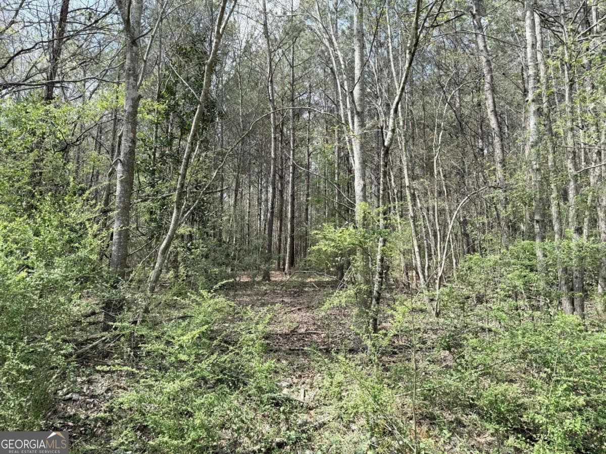 agriculture for sale at 0 Old Columbus Road, Bowdon, GA 30108 — photo 6