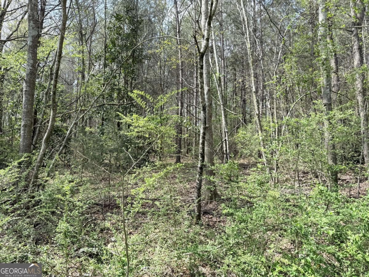 agriculture for sale at 0 Old Columbus Road, Bowdon, GA 30108 — photo 7