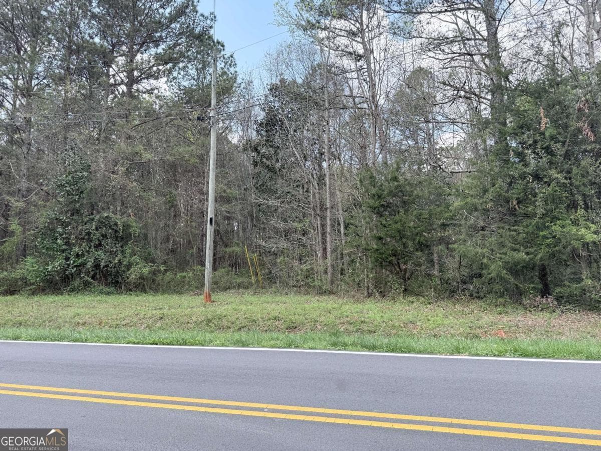agriculture for sale at 0 Old Columbus Road, Bowdon, GA 30108 — photo 3