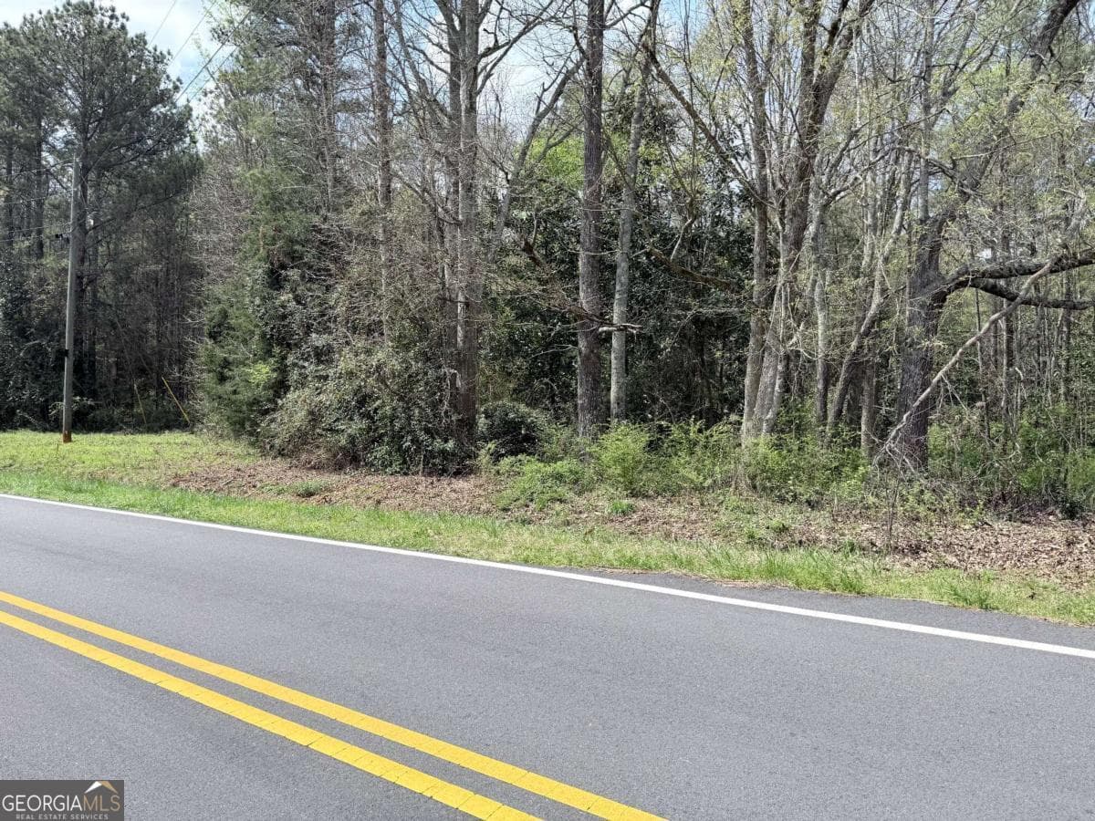 agriculture for sale at 0 Old Columbus Road, Bowdon, GA 30108 — photo 5