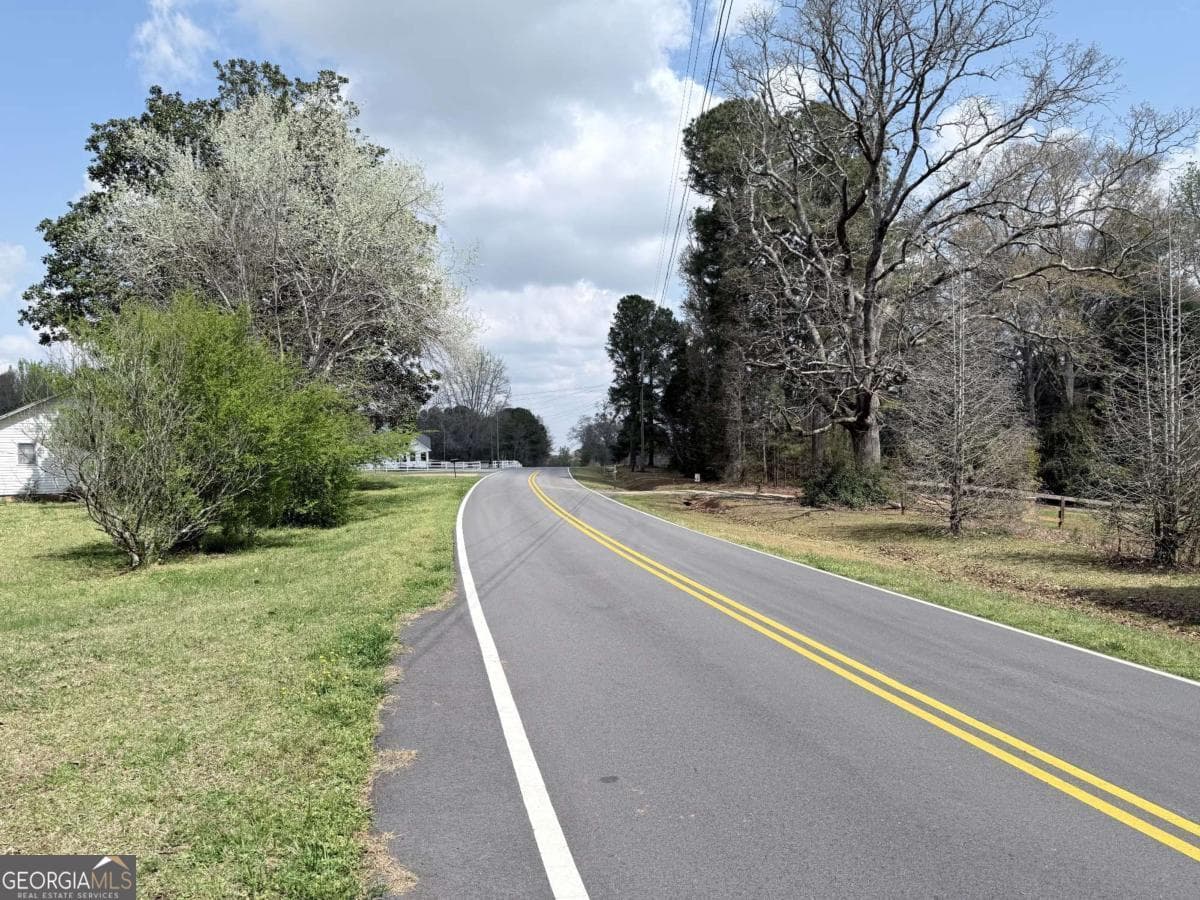 agriculture for sale at 0 Old Columbus Road, Bowdon, GA 30108 — photo 9