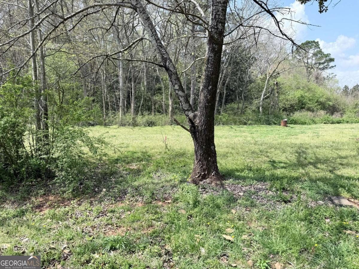 agriculture for sale at 0 Old Columbus Road, Bowdon, GA 30108 — photo 4