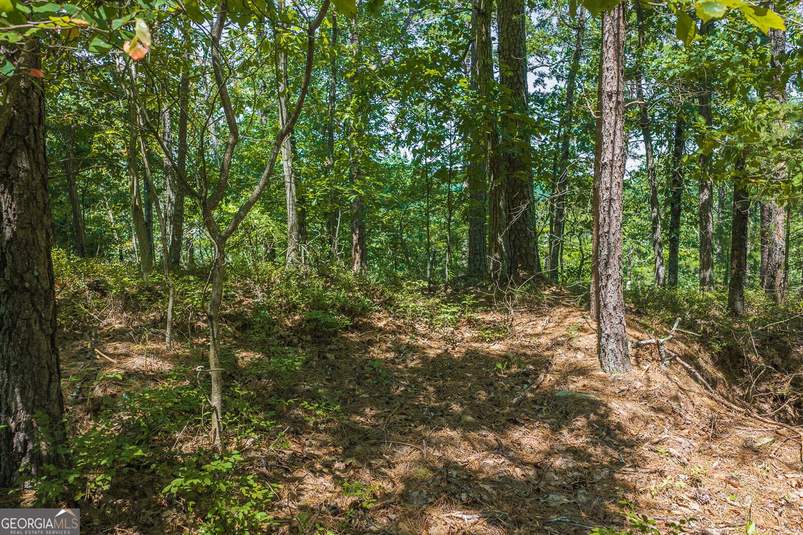 residential lot for sale at 694-695 Railey Ridge 694-695, Ranger, GA 30734 — photo 6