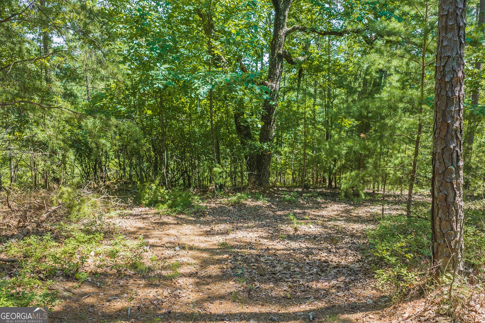 residential lot for sale at 694-695 Railey Ridge 694-695, Ranger, GA 30734 — photo 7