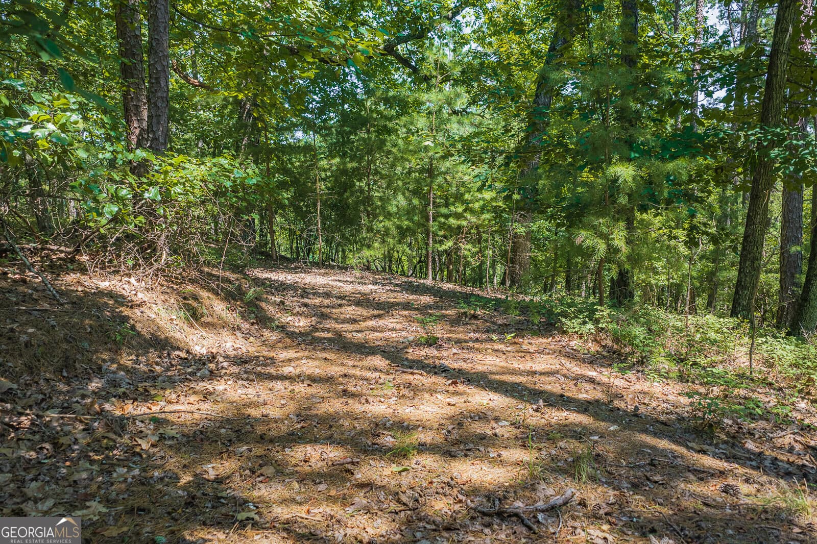 residential lot for sale at 694-695 Railey Ridge 694-695, Ranger, GA 30734 — photo 9