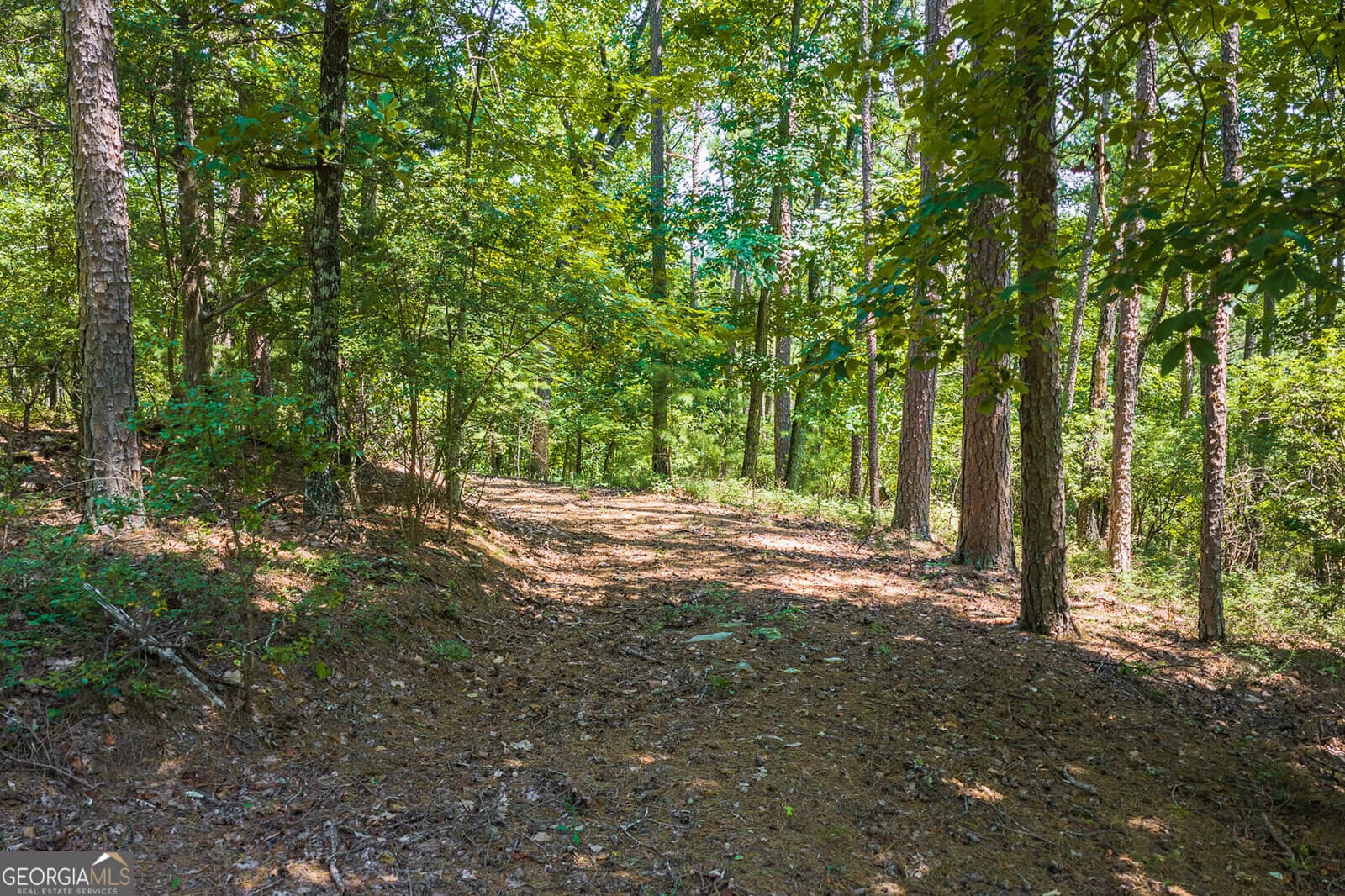 residential lot for sale at 694-695 Railey Ridge 694-695, Ranger, GA 30734 — photo 10