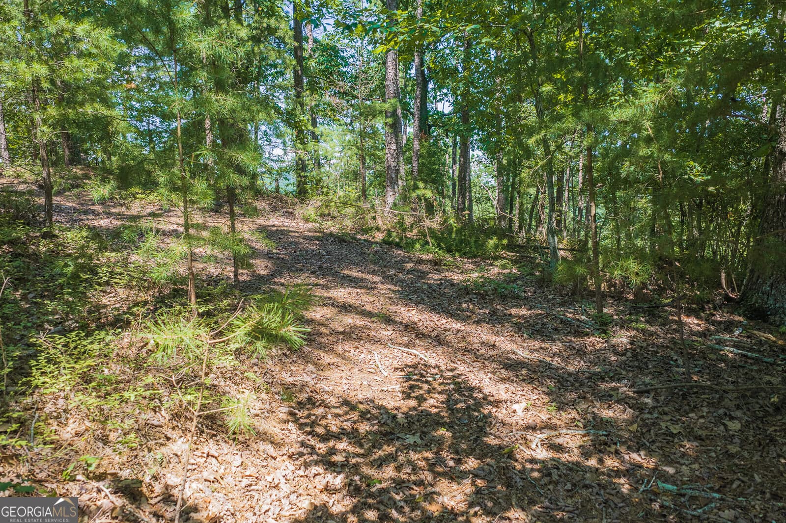 residential lot for sale at 694-695 Railey Ridge 694-695, Ranger, GA 30734 — photo 8
