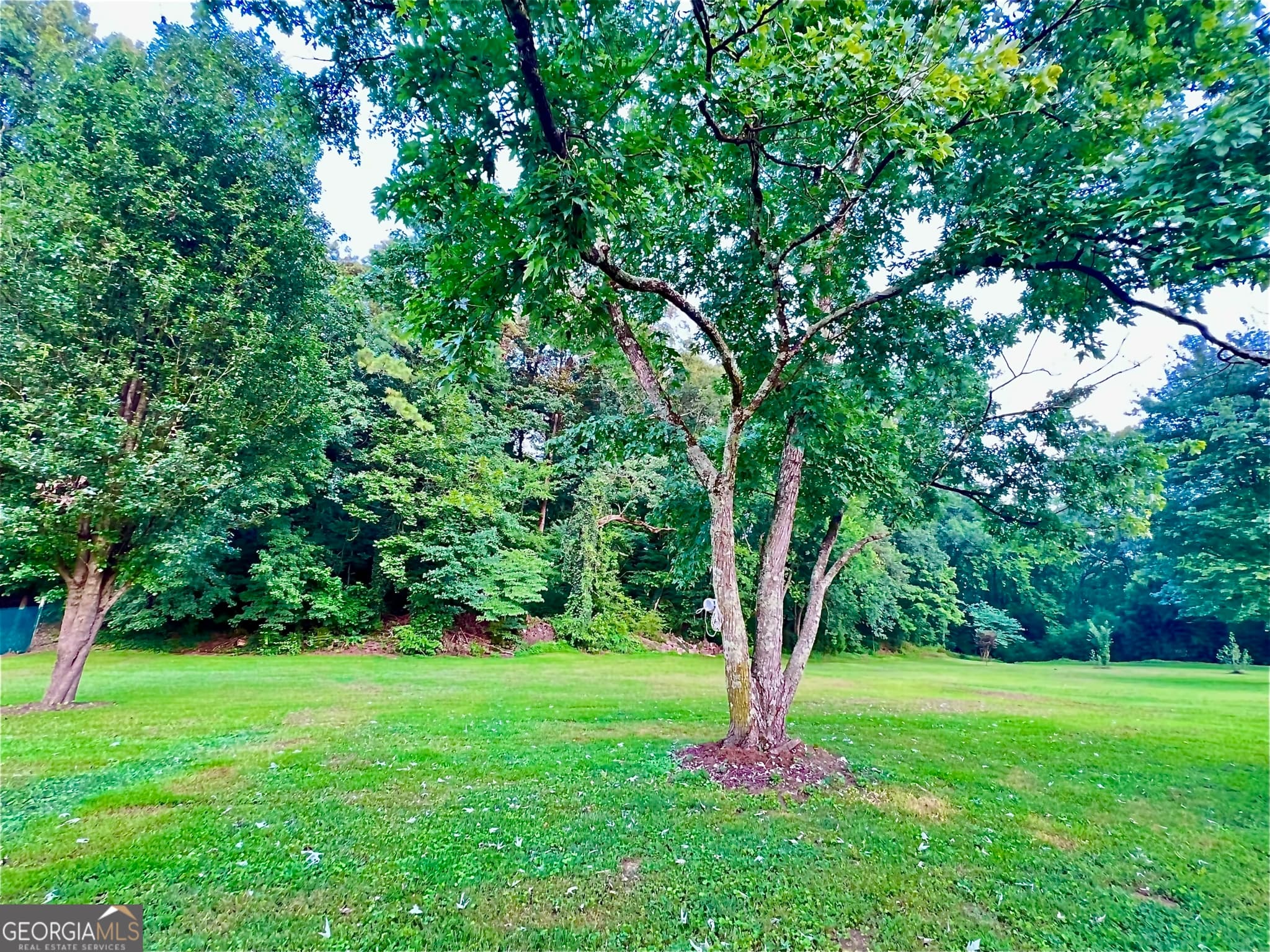 3 bedroom, 2 bathroom, 1,388 sq ft single family residence for sale at 1517 Cave Spring Road, Rome, GA 30161 — photo 7