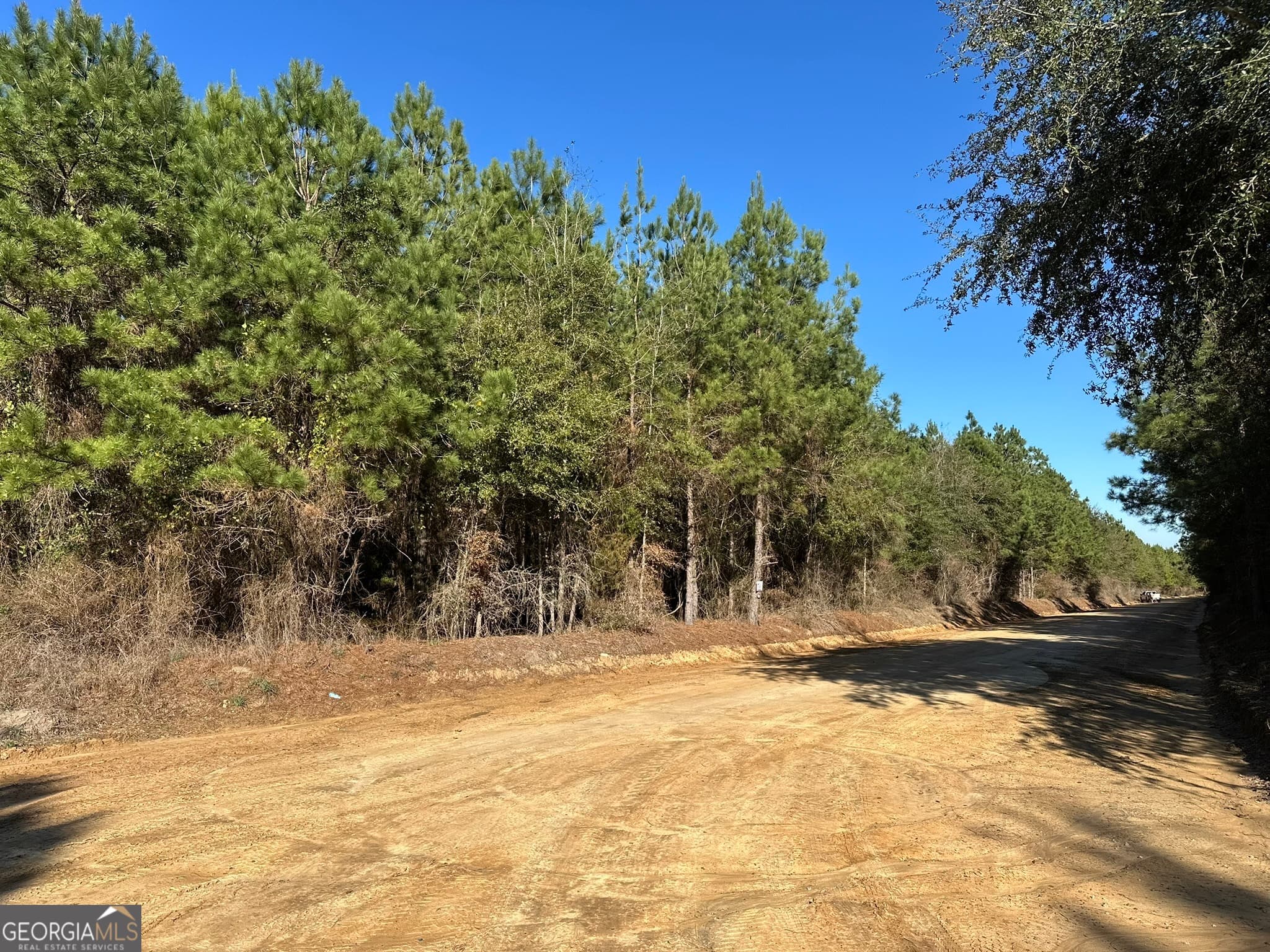 agriculture sold at 023 Barnes Road, Gordon, AL 36343