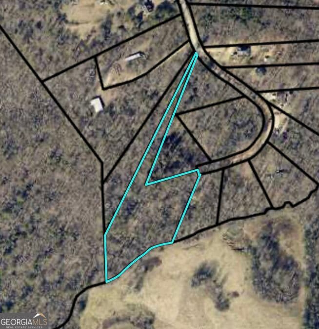 residential lot for sale at 0 Rue De Cason May, Carnesville, GA 30521 — photo 1 of 1
