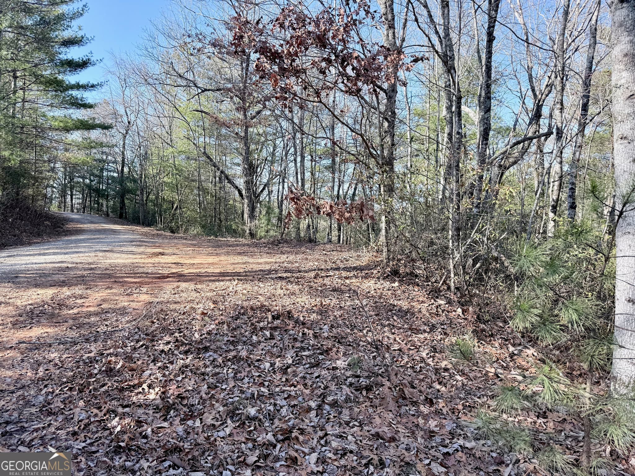 residential lot for sale at 0 Rabun Bluffs Drive, Lakemont, GA 30552 — photo 2