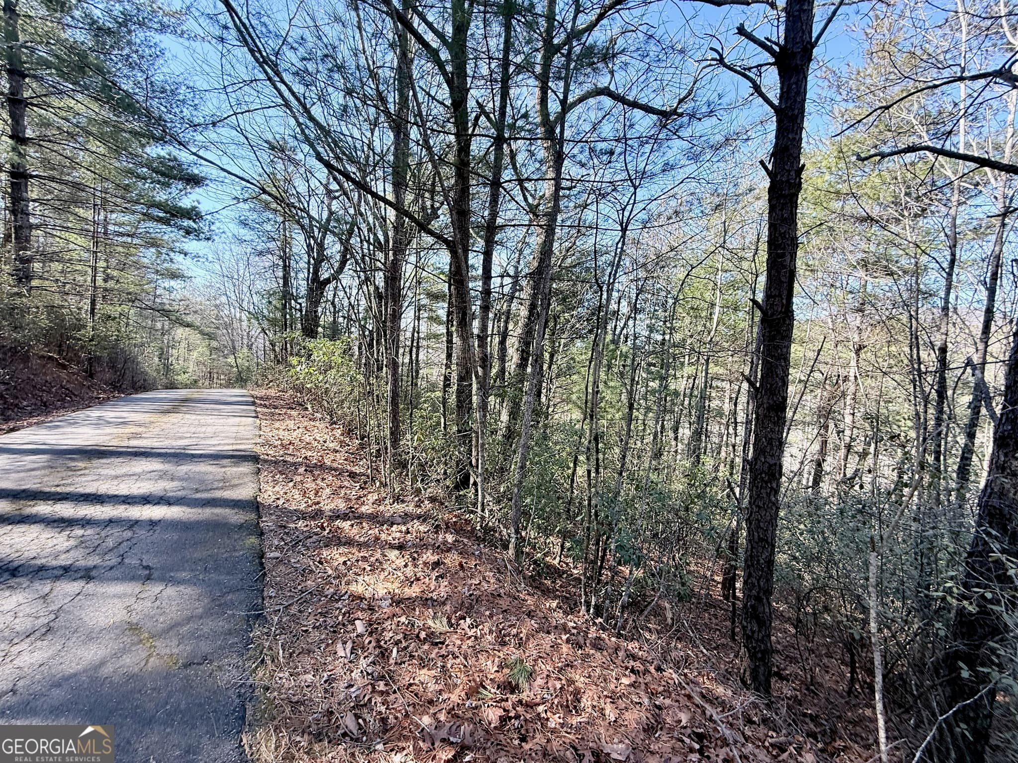 residential lot for sale at 0 Rabun Bluffs Drive, Lakemont, GA 30552 — photo 6